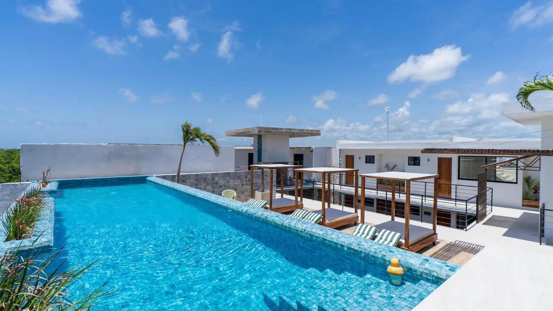 Downtown Penthouse With Private Pool, Rooftop Pool And Gym, Short Distance From Beaches, Restaurants & Nightlife Tulum 0*,